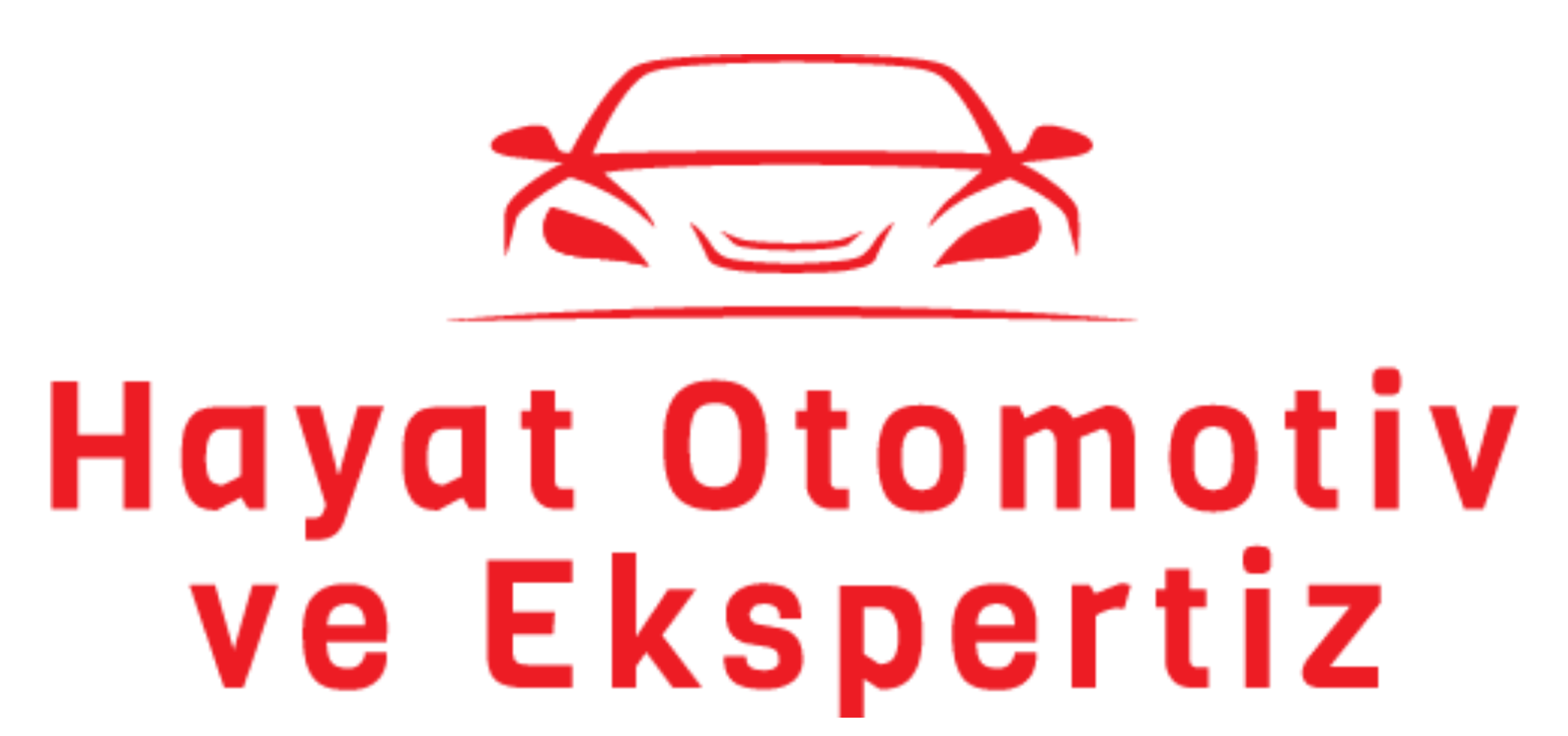 Hayat Otomotiv ve Ekspertiz